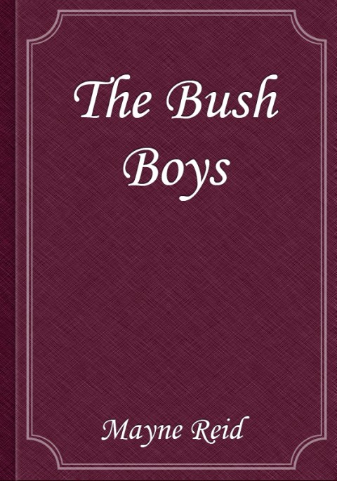 The Bush Boys: History and Adventures of a Cape Farmer and his Family